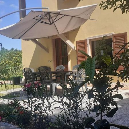Ca' La Volpe Vila Torri Del Benaco Exterior foto